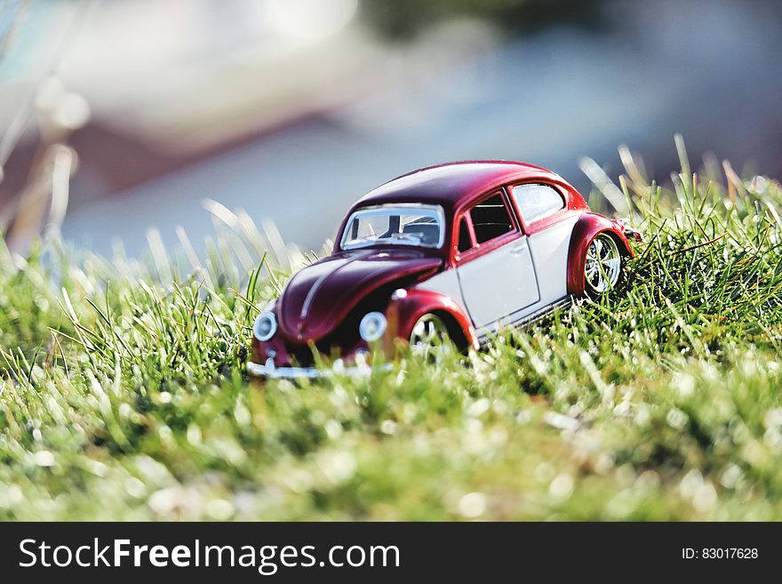 Red And White Beetle Car Toy On Grass Field In Bokeh Photography