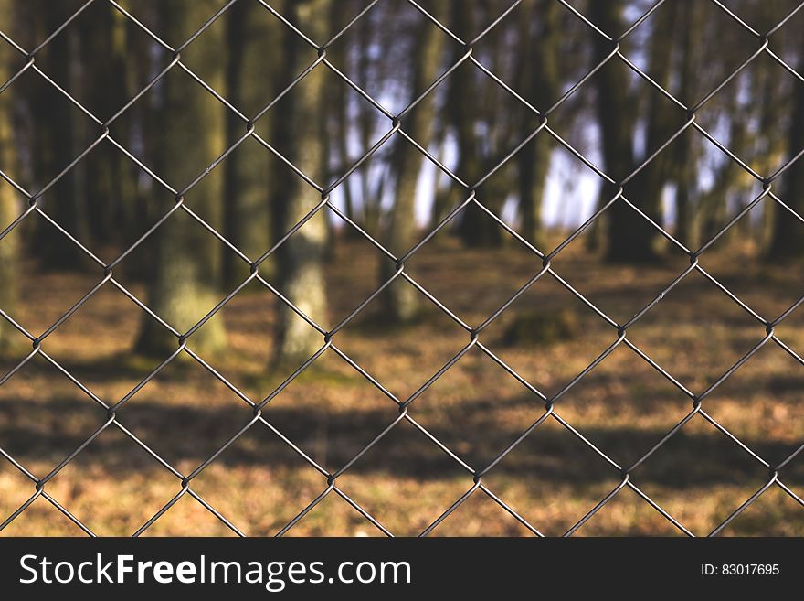 Black Steel Fence With Tree Trunks