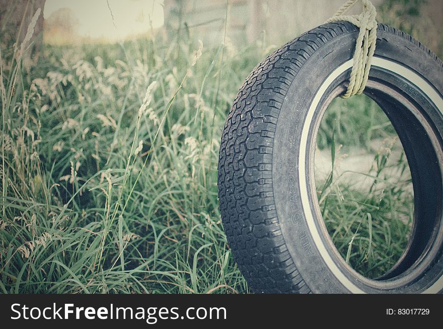 Black Car Tire Tie On Brown Rope Near To Green Plant During Daytime