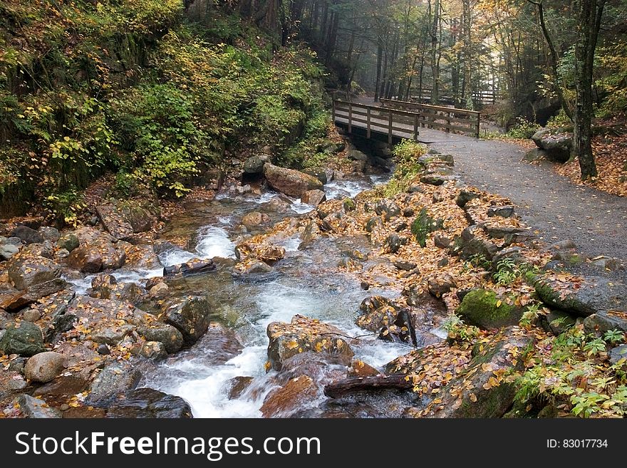 Bridge and walkway over rocky stream in autumn forest. Bridge and walkway over rocky stream in autumn forest.