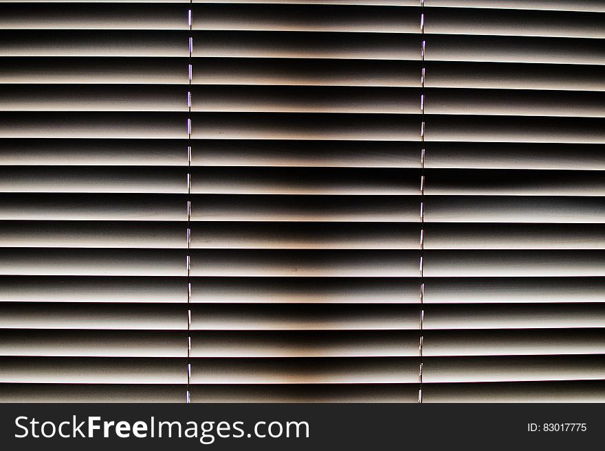 White Window Blinds