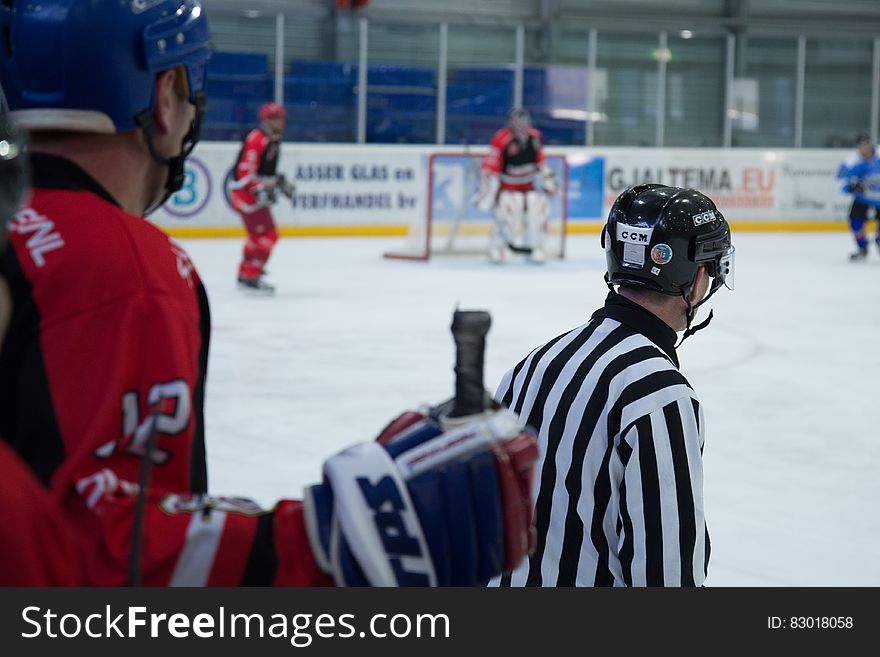 Hockey Players on Rink