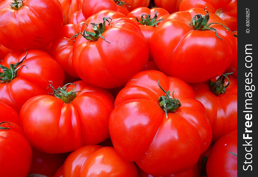 Red Tomato Bundle