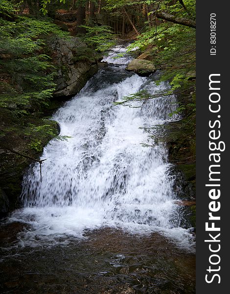 Waterfall On Forest Stream