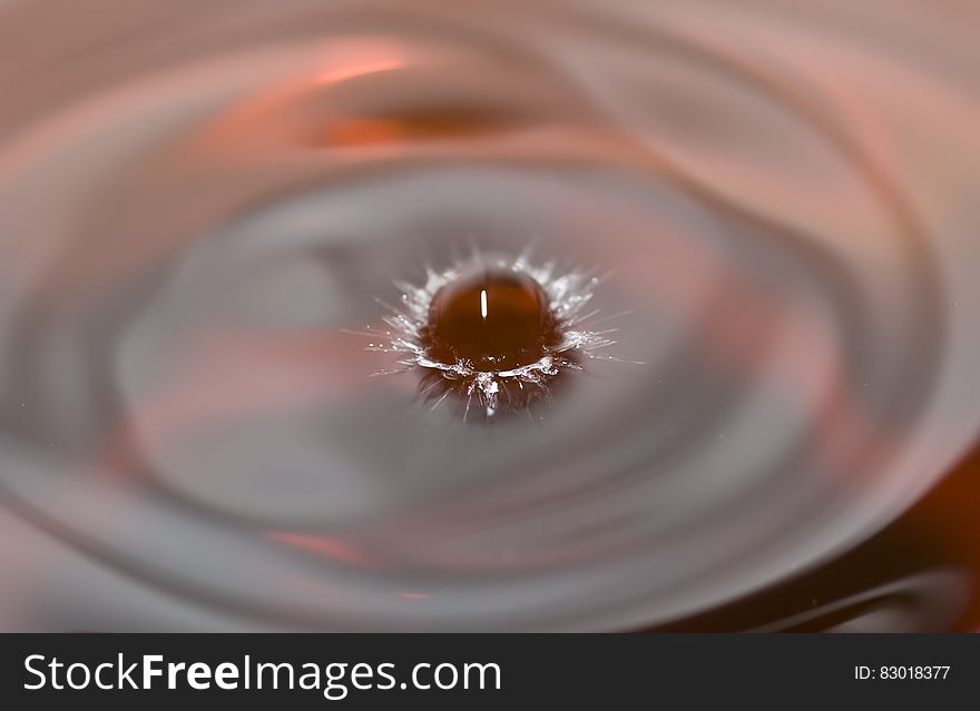 Brown Small Ball Dropped on Water