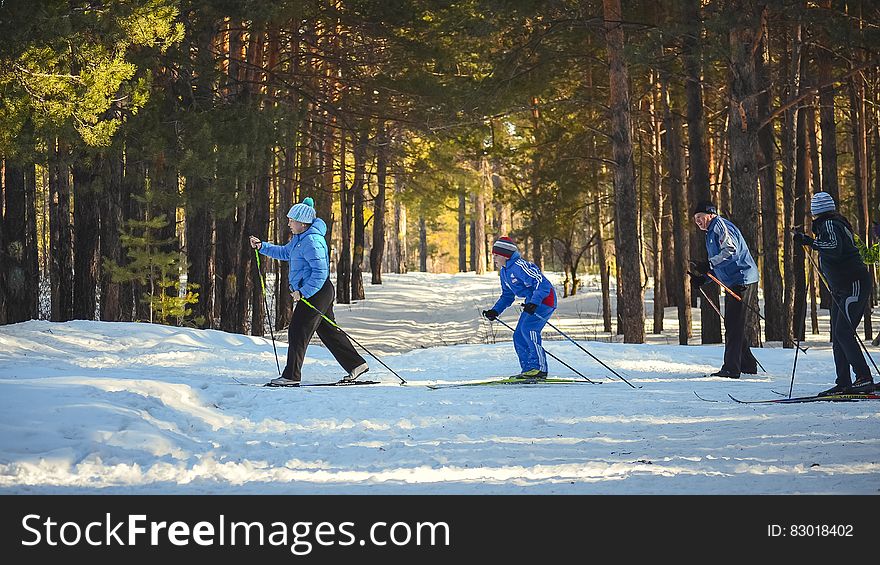 4 Man Snow Skiing in the Woods