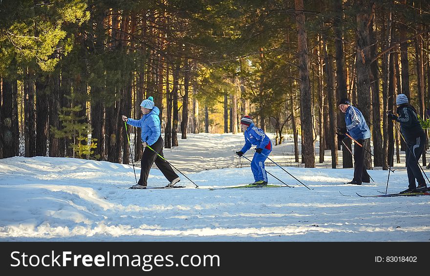 4 Man Snow Skiing In The Woods