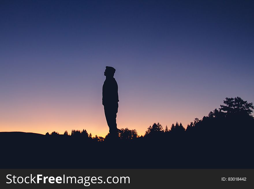 Silhouette of man standing in field at sunset. Silhouette of man standing in field at sunset.