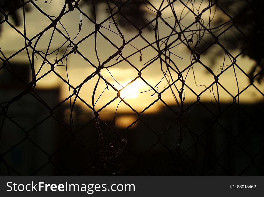 Silhouette Fence During Sunset