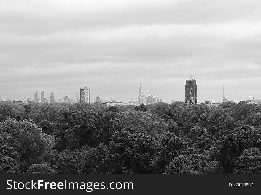 Pine Tress and High Building in Grayscale Photo