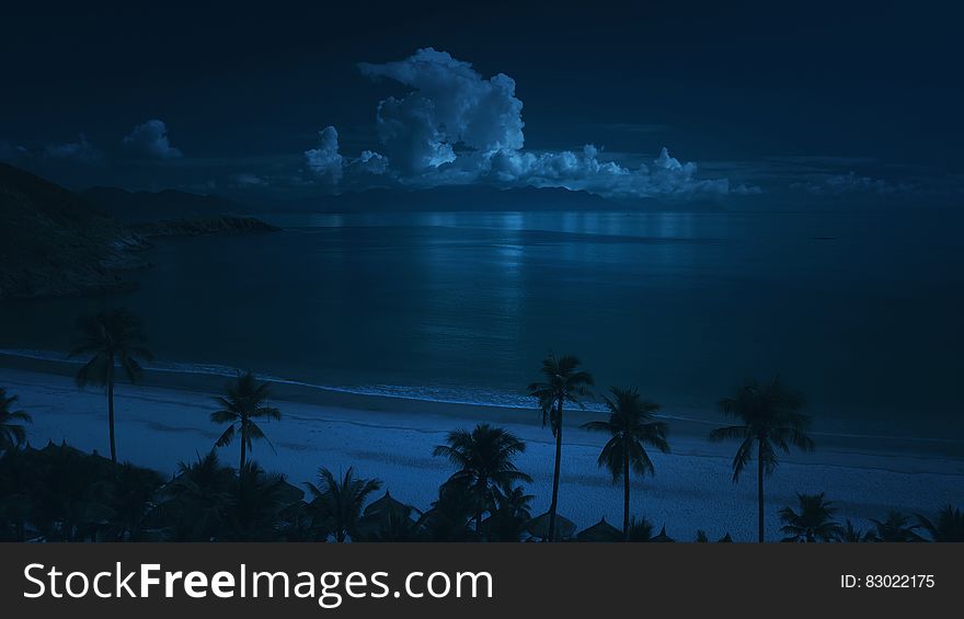 Palm trees on the edge of a road which borders the sea with distant buildings (hotel and houses) at night. Palm trees on the edge of a road which borders the sea with distant buildings (hotel and houses) at night.