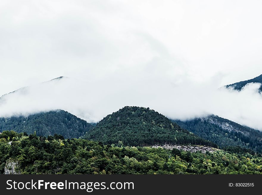 Fog Over Wooded Hillside, Andorra