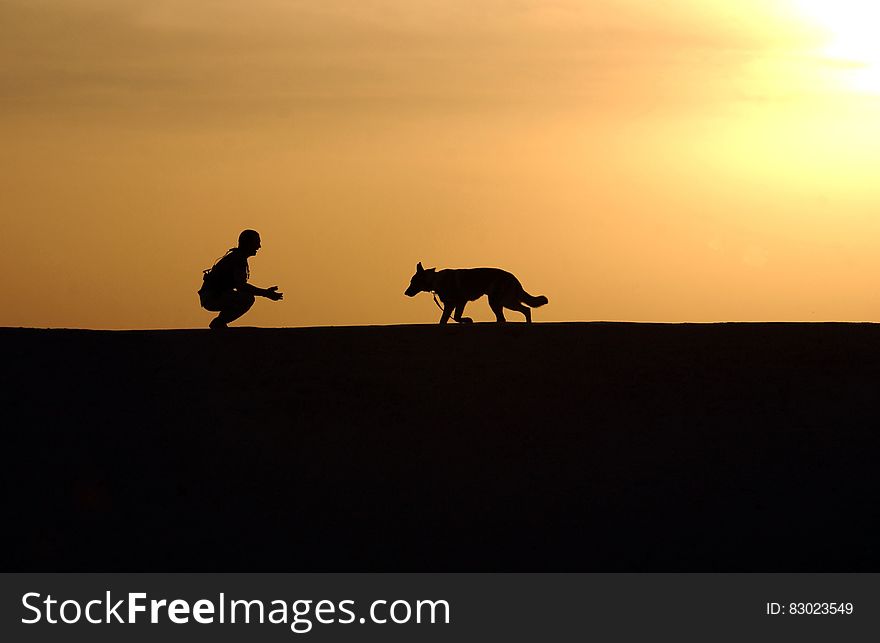 Silhouette Photo of Man an Dog During Sunset