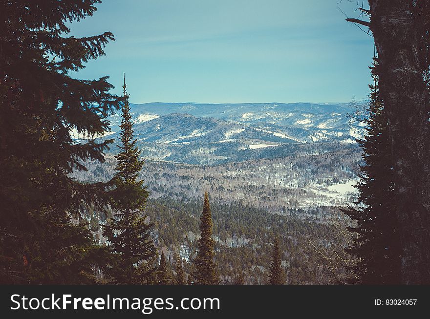 Mountains With Green Trees Under Blue Sky