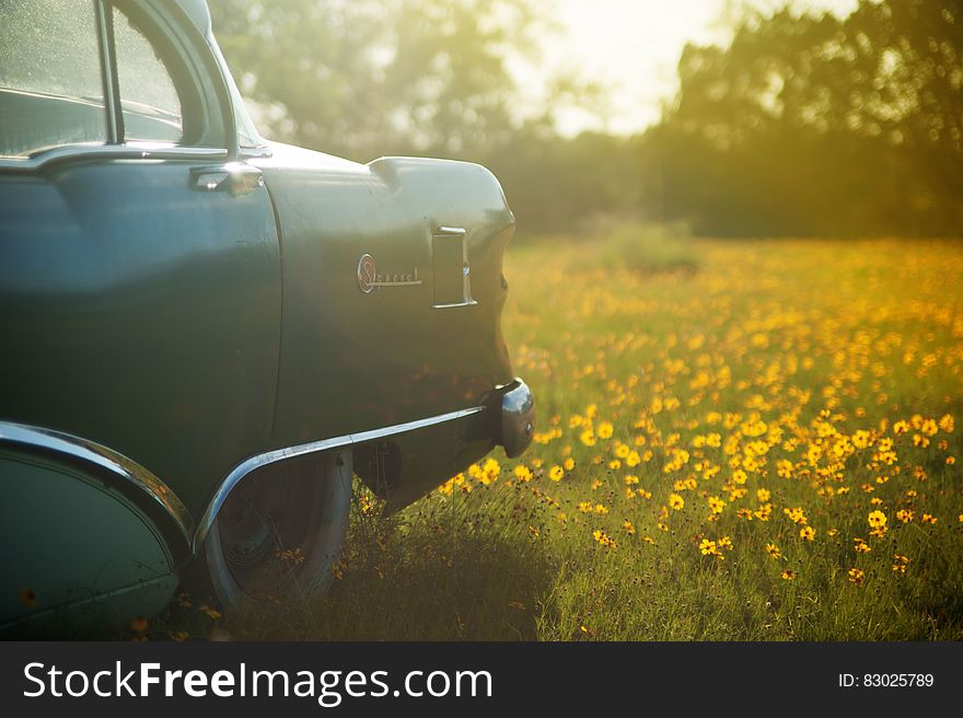 Vintage car parked in sunny meadow with wildflowers. Vintage car parked in sunny meadow with wildflowers.