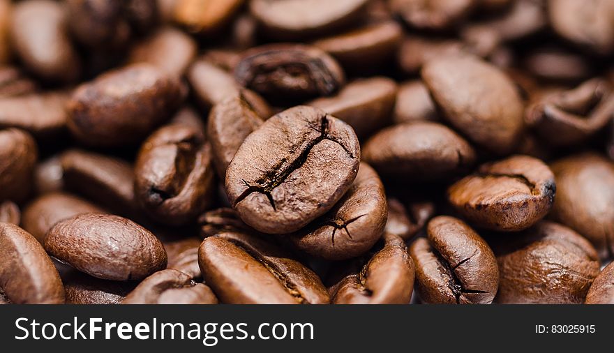 Close up of roasted whole coffee beans. Close up of roasted whole coffee beans.
