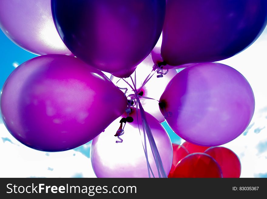 Purple and Red Balloons