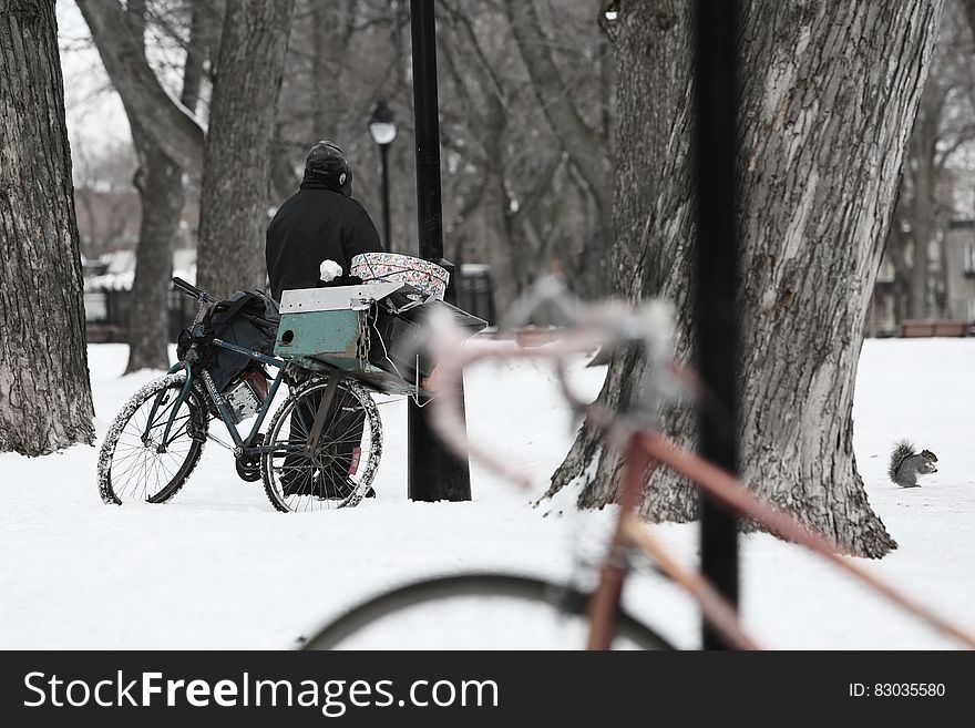 Bicycles leaning against tree in snowy field on sunny day. Bicycles leaning against tree in snowy field on sunny day.