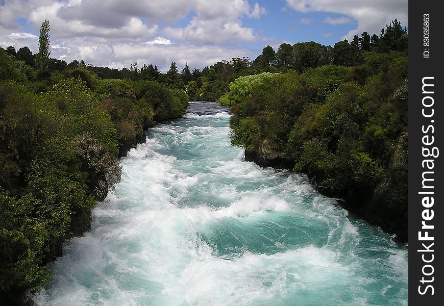 Rapids along tree lined river banks in New Zealand on sunny day. Rapids along tree lined river banks in New Zealand on sunny day.