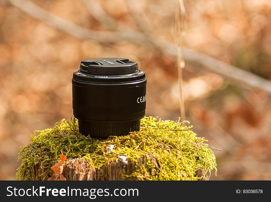 A close up of a Canon camera fixed lens on a mossy stump.