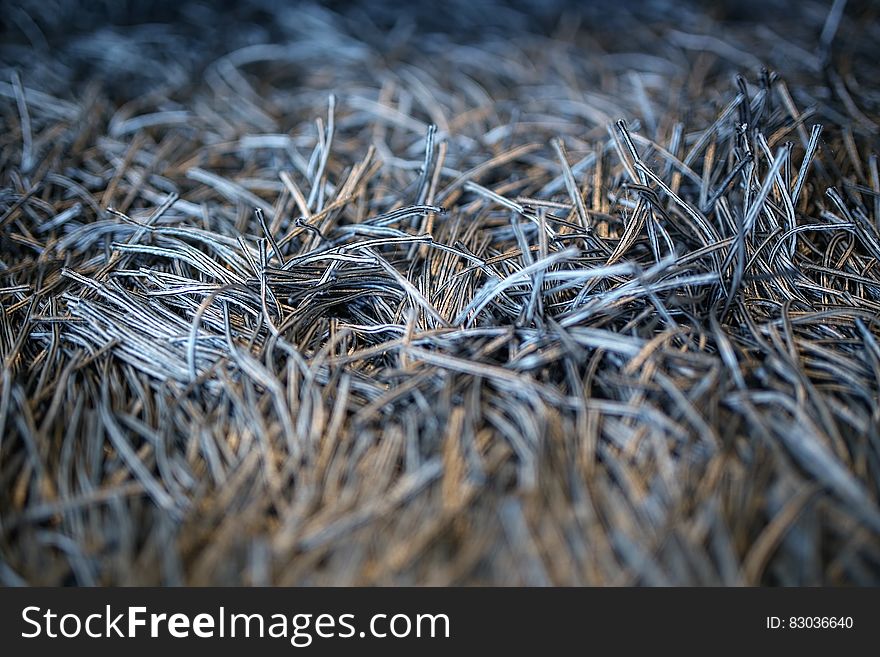 Carpet With Fringe