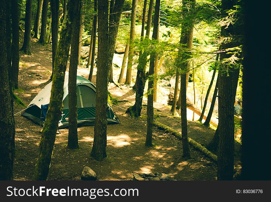 Tent at campsite in green forest on sunny day. Tent at campsite in green forest on sunny day.
