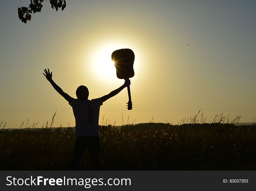 Silhouette of Man Holding Guitar on Plant Fields at Daytime