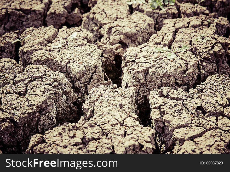 Gray Dry Soil in Macro Shot Photography