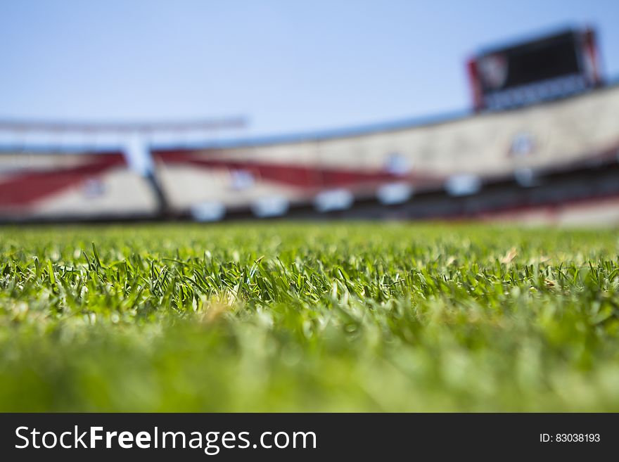 Green Grass Across Beige Red Open Sports Stadium during Daytime