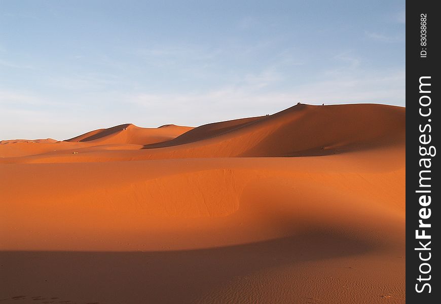 Brown Desert