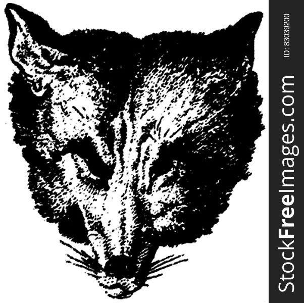 Loup-004-PL