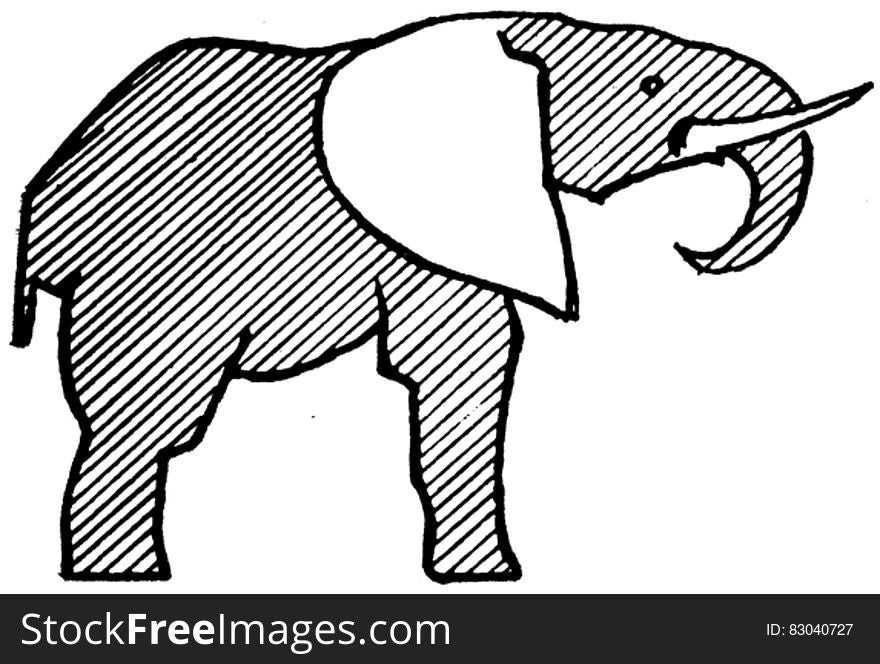 Elephant-004-AP