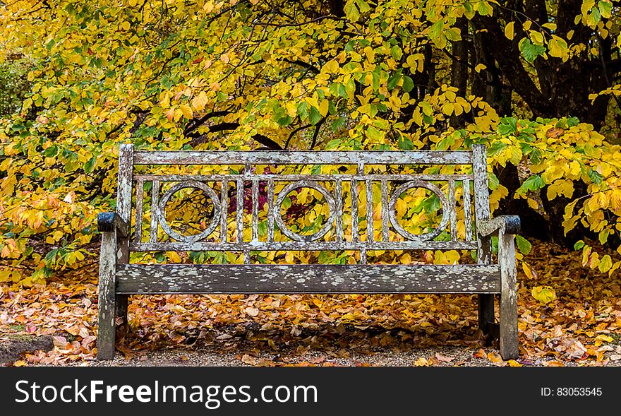 Sheffield Park Bench. Sheffield Park Bench