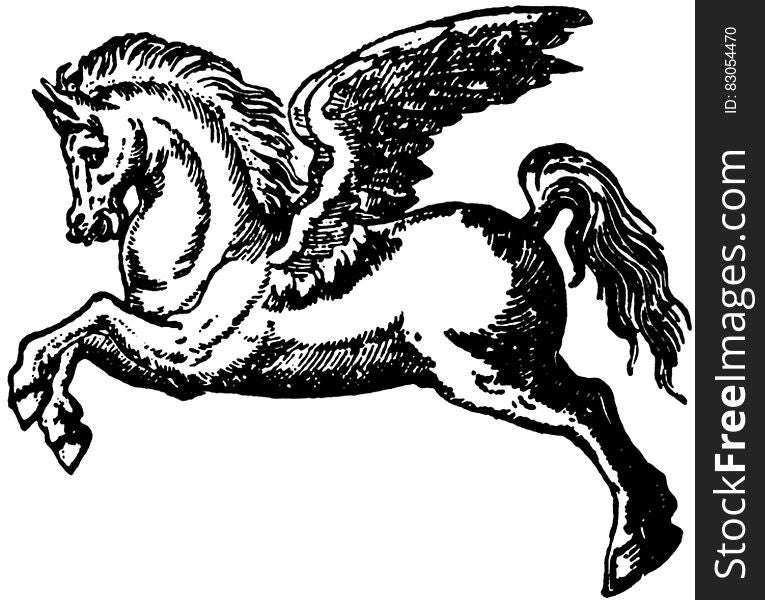 Black and white ink illustration of Pegasus the winged horse. Black and white ink illustration of Pegasus the winged horse.