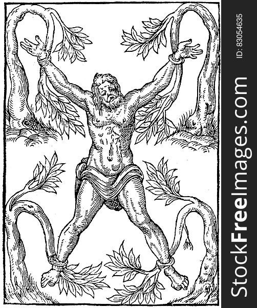 Black and white ink illustration depicting man entangled in tree limbs. Black and white ink illustration depicting man entangled in tree limbs.