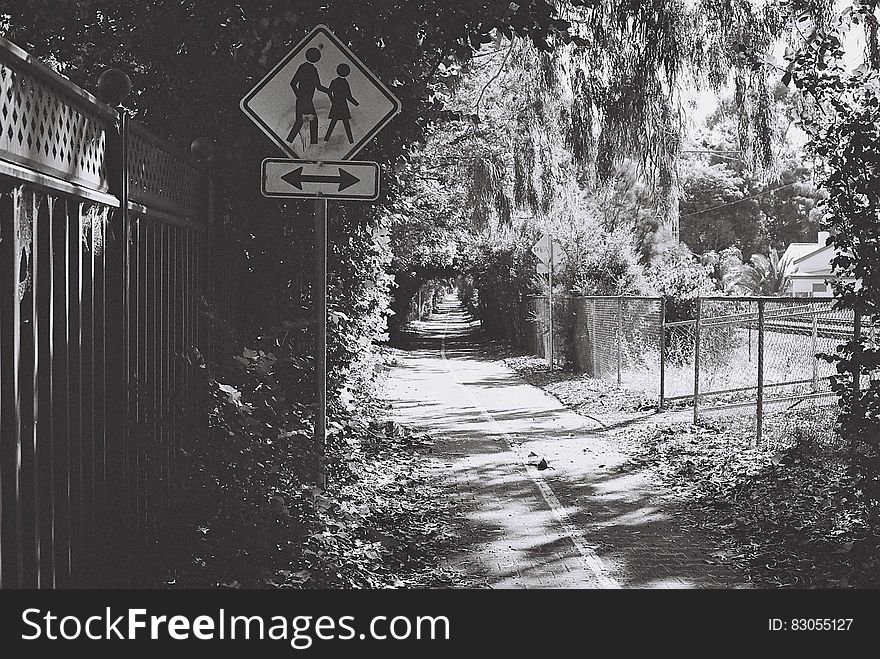 Bike lane by urban park with pedestrian crosswalk sign in black and white. Bike lane by urban park with pedestrian crosswalk sign in black and white.