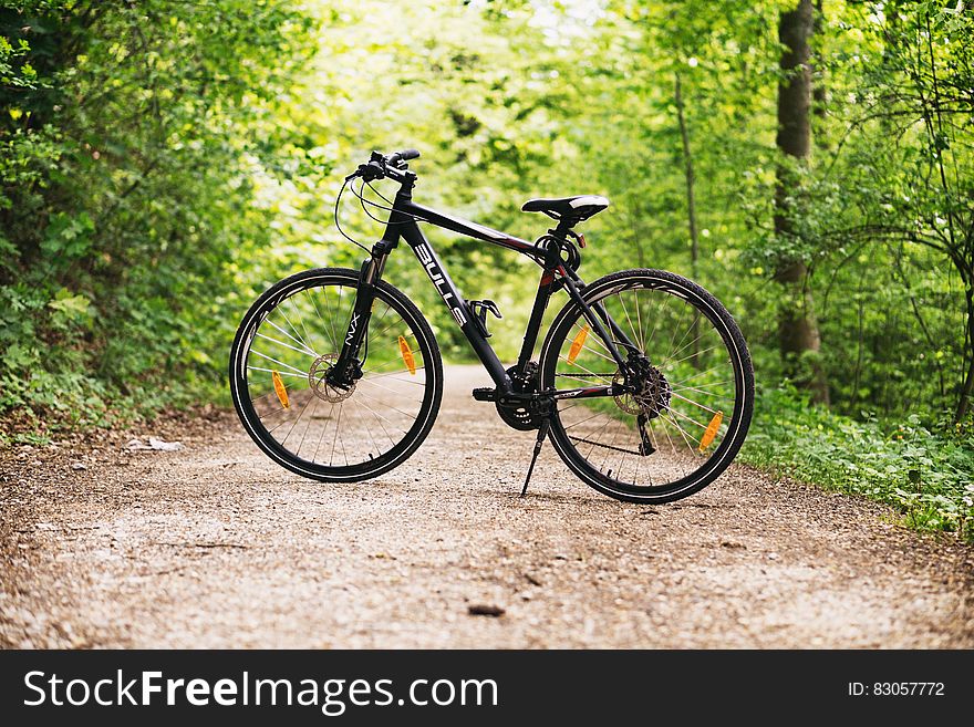 A bicycle on a forest path. A bicycle on a forest path.