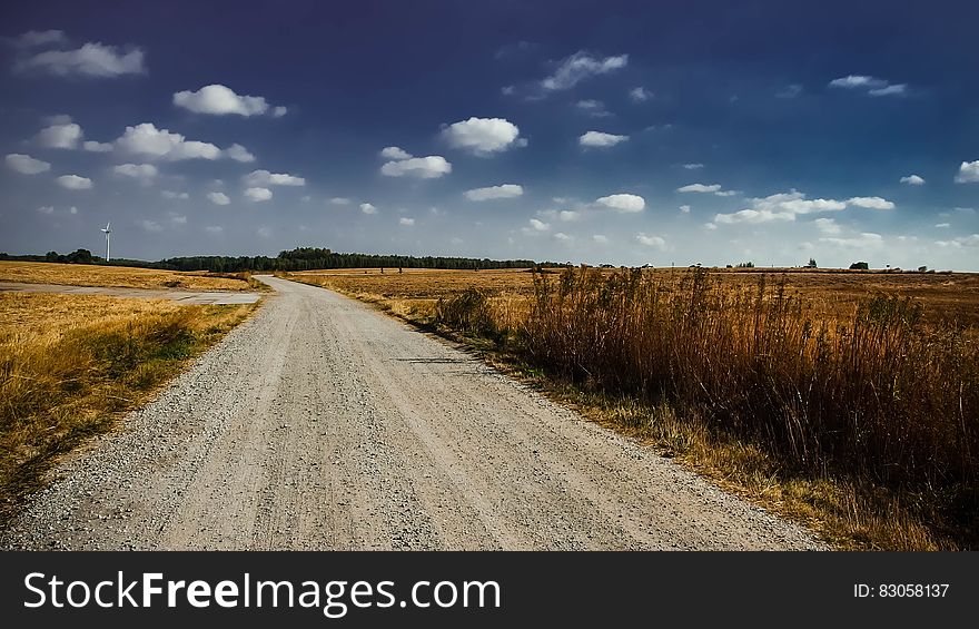 Gray Road in Between Brown Grass Under White Cloudy Sky