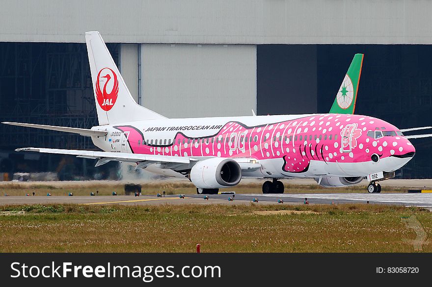 Airliner Decorated As A Pink Fish