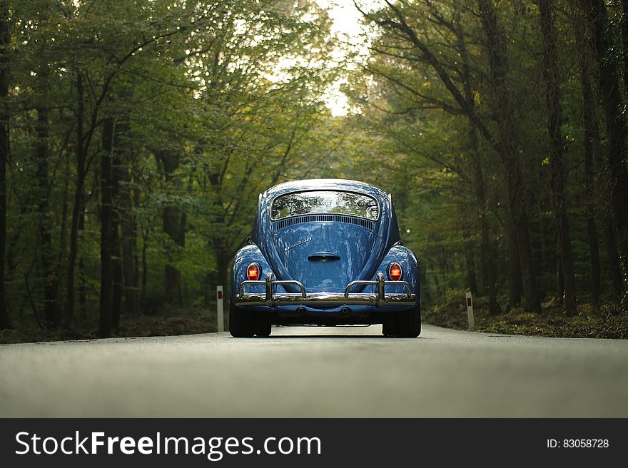 Blue Beetle Car on Gray Asphalt Road Between Green Leaf Trees