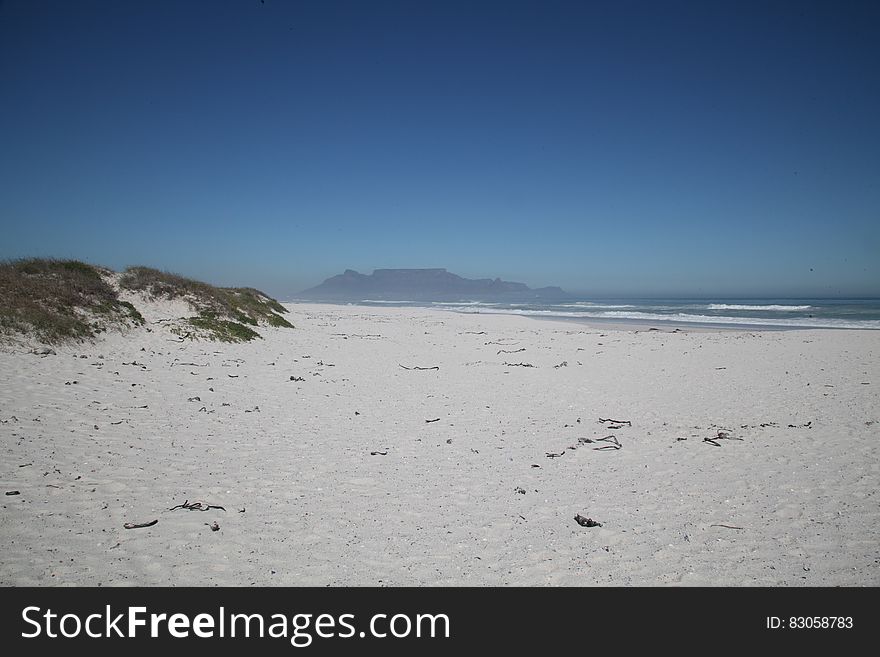 White Sand and Green Grass Near Beach