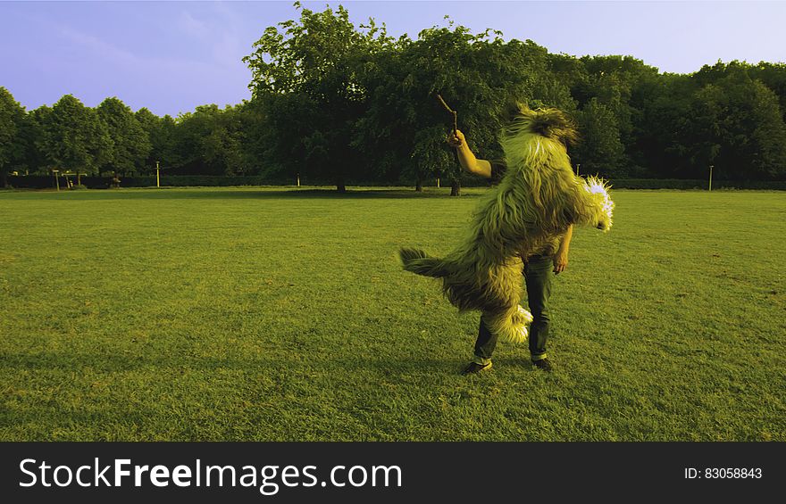 Man in Black Shirt Standing on Green Lawn While Playing With Brown Long Coat Medium Sized Dog
