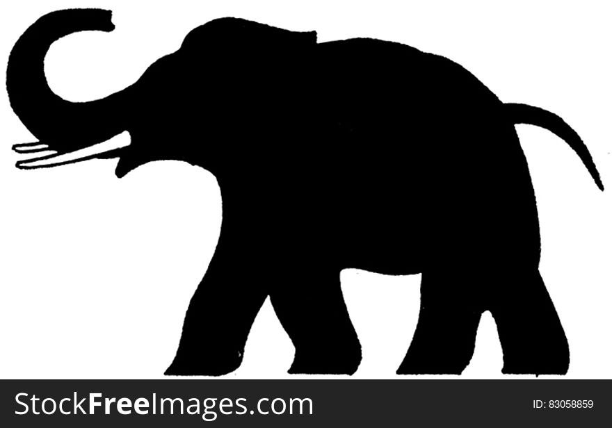 Elephant-003-AP