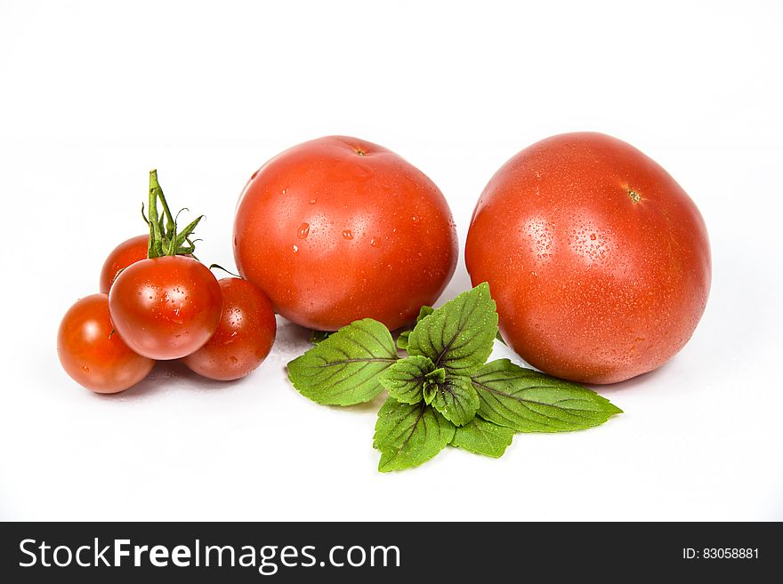 Tomato Fruit