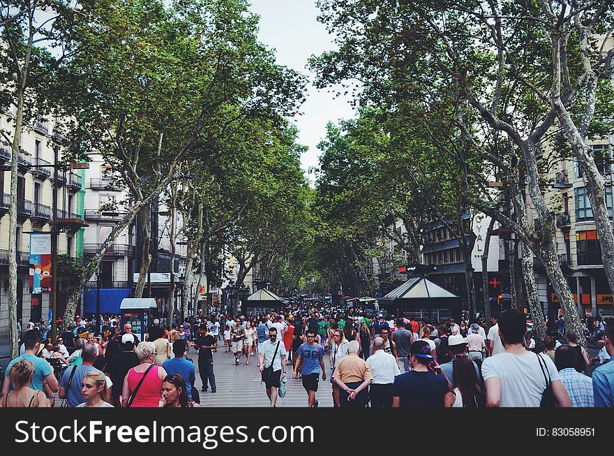People Walking in the Street Near Green Leaved Trees Under White Cloudy Sky during Daytime