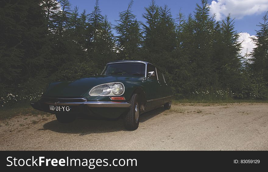 Vintage Citroen car on dirt country road surrounded by pine trees. Vintage Citroen car on dirt country road surrounded by pine trees.
