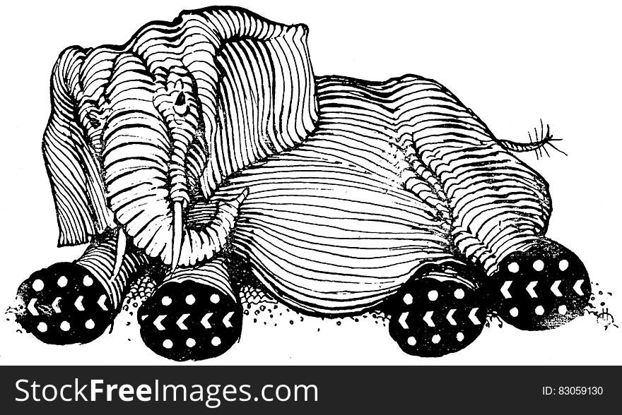 Elephant-008-AP