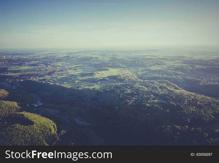 Top View Photography of Green Forest during Daytime