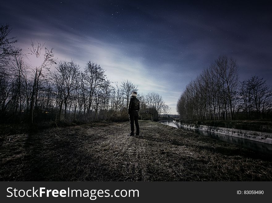 Man stops while walking down muddy track in countryside in moonlight night. Trees on both sides of track and partly cloudy sky. Man stops while walking down muddy track in countryside in moonlight night. Trees on both sides of track and partly cloudy sky.