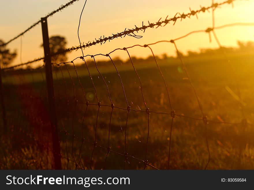 Black Chain Link Metal Fence in Grass Field